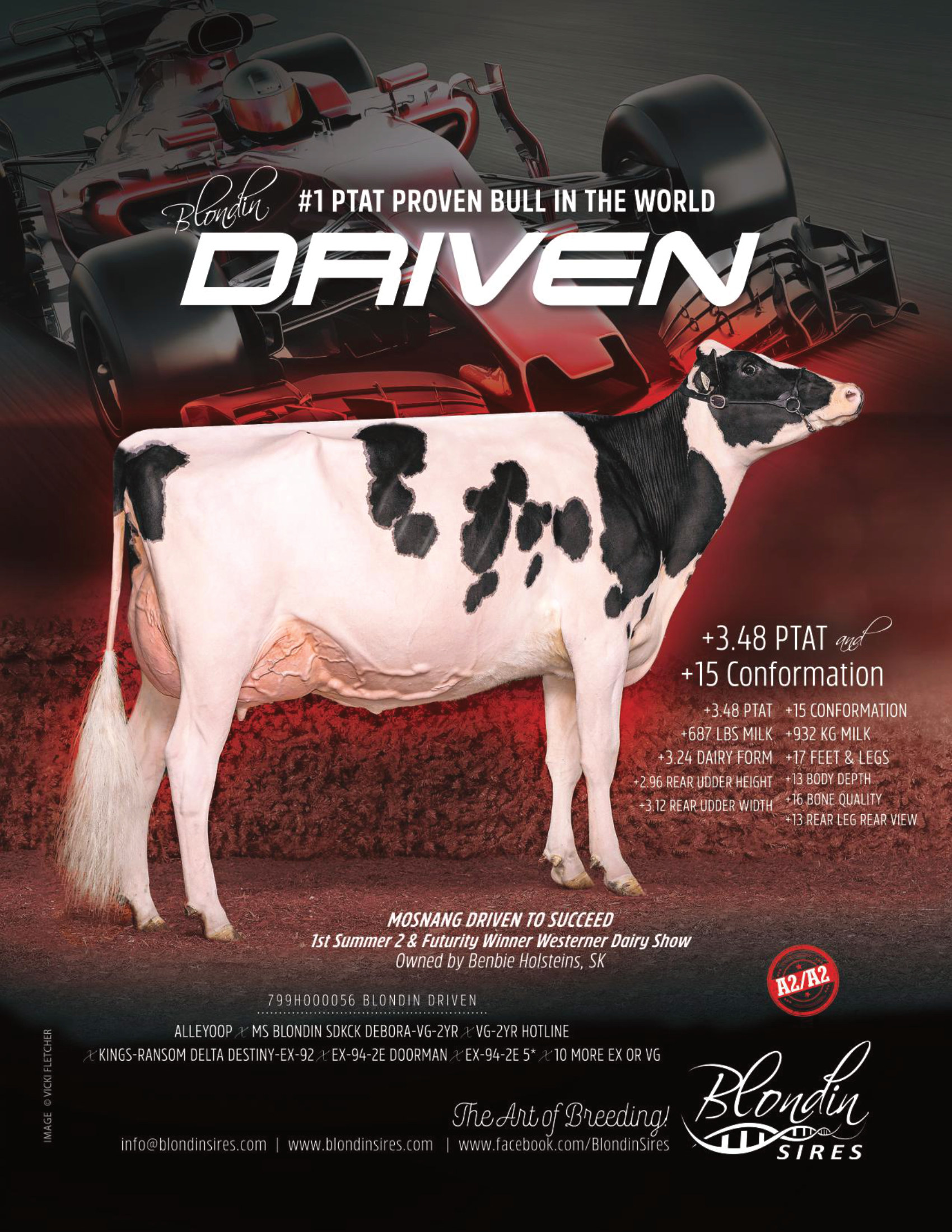DRIVEN — 799HO00056